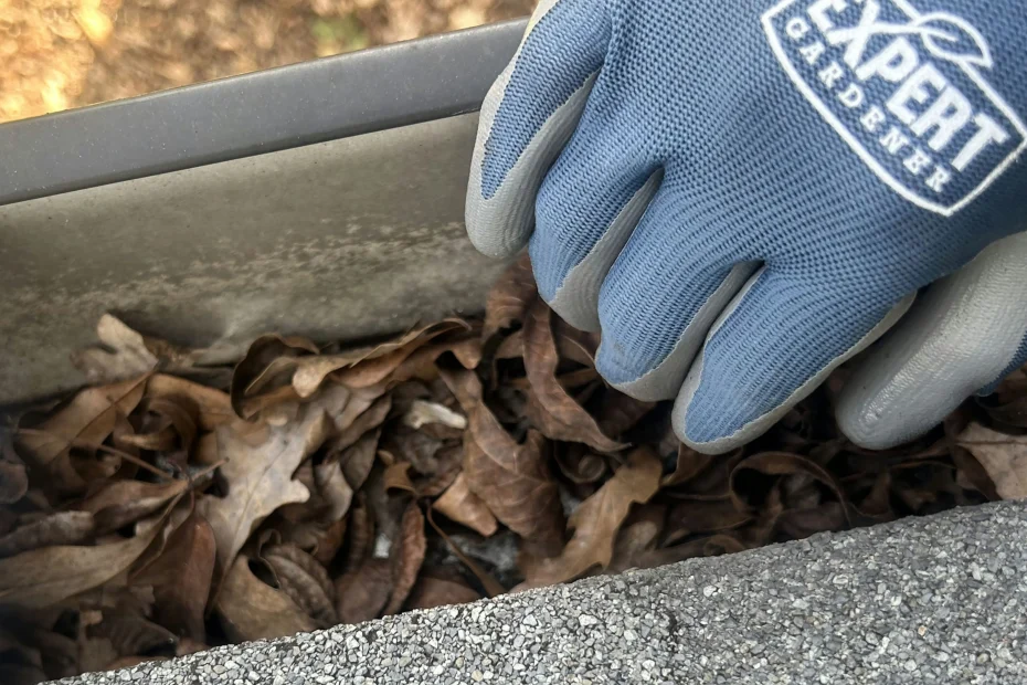 Gutter Cleaning Newark