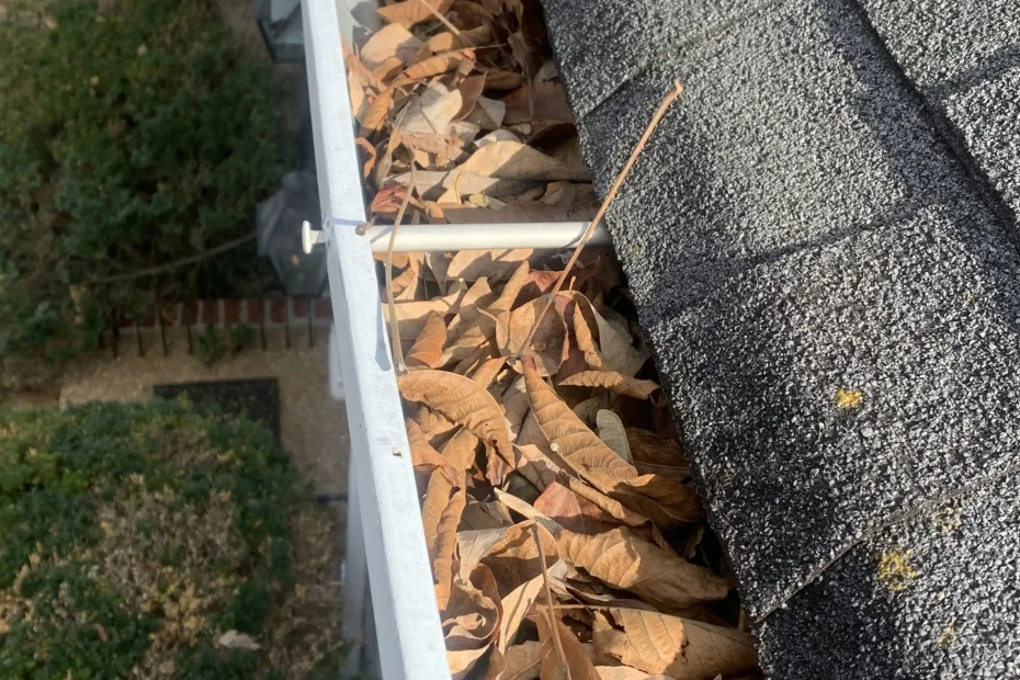 Gutter Cleaning Newark